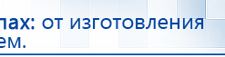 СКЭНАР-1-НТ (исполнение 01)  купить в Братске, Аппараты Скэнар купить в Братске, Официальный сайт Денас denaspkm.ru